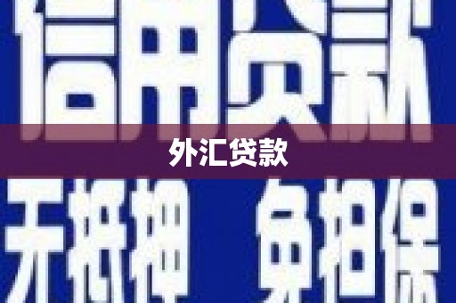 息县外汇贷款