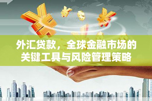 息县外汇贷款，全球金融市场的关键工具与风险管理策略