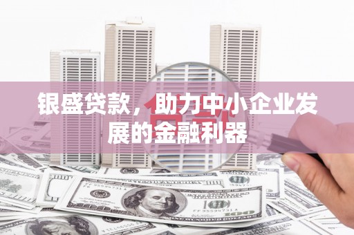 息县银盛贷款，助力中小企业发展的金融利器