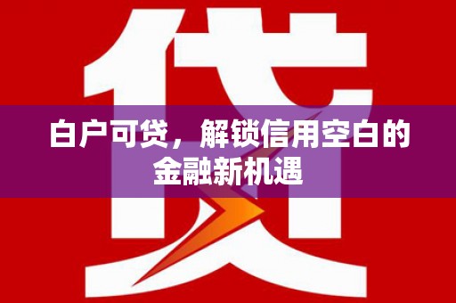 息县白户可贷，解锁信用空白的金融新机遇