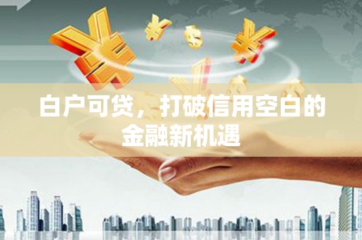息县白户可贷，打破信用空白的金融新机遇