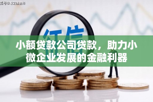 息县小额贷款公司贷款，助力小微企业发展的金融利器