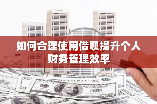 息县如何合理使用借呗提升个人财务管理效率