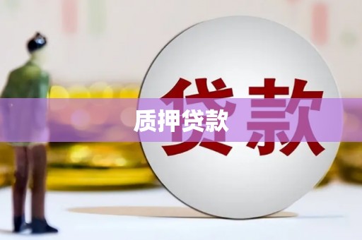 息县质押贷款