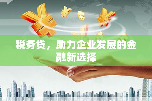 息县税务贷，助力企业发展的金融新选择