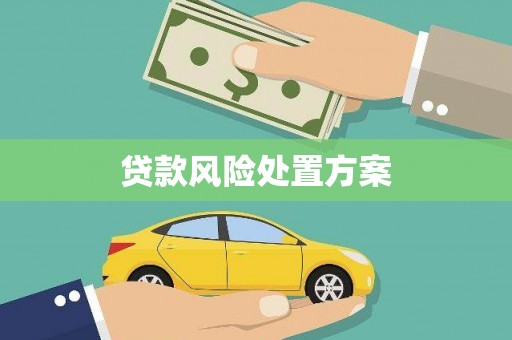 息县贷款风险处置方案