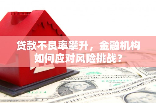 息县贷款不良率攀升，金融机构如何应对风险挑战？