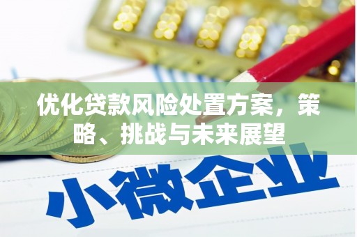 息县优化贷款风险处置方案，策略、挑战与未来展望