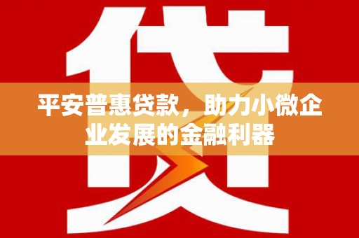 息县平安普惠贷款，助力小微企业发展的金融利器