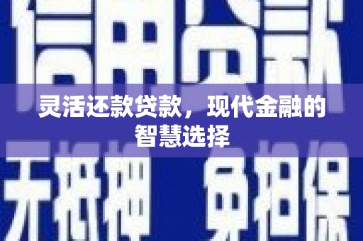 息县灵活还款贷款，现代金融的智慧选择