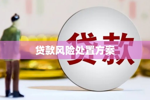 息县贷款风险处置方案