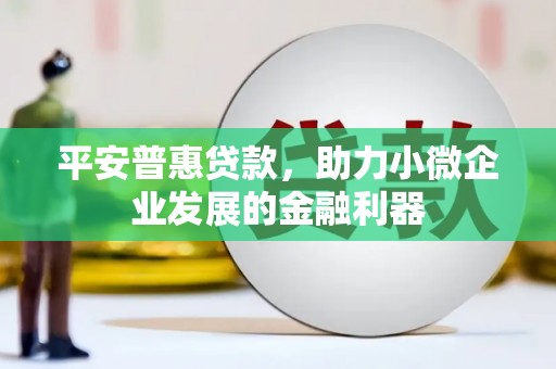 息县平安普惠贷款，助力小微企业发展的金融利器