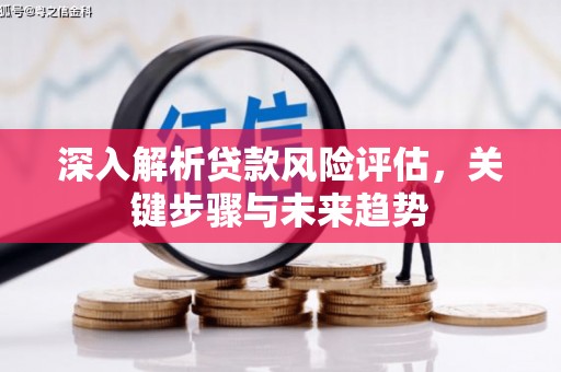 息县深入解析贷款风险评估，关键步骤与未来趋势