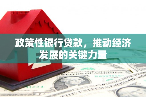 息县政策性银行贷款，推动经济发展的关键力量