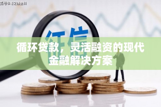 息县循环贷款，灵活融资的现代金融解决方案