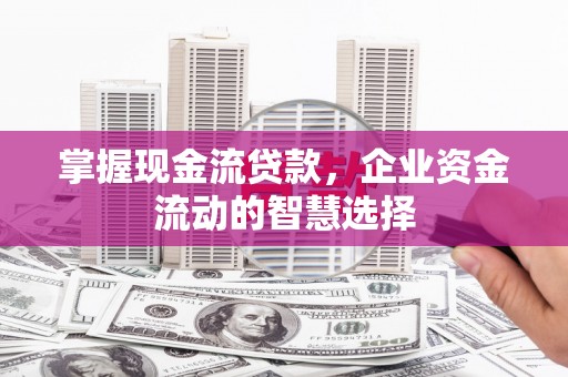 息县掌握现金流贷款，企业资金流动的智慧选择