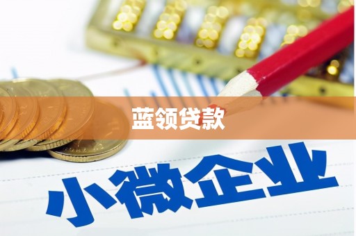 息县蓝领贷款