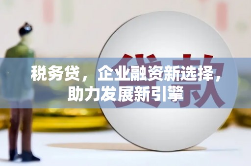 息县税务贷，企业融资新选择，助力发展新引擎