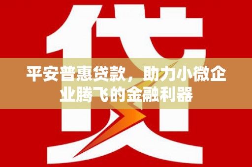 息县平安普惠贷款，助力小微企业腾飞的金融利器