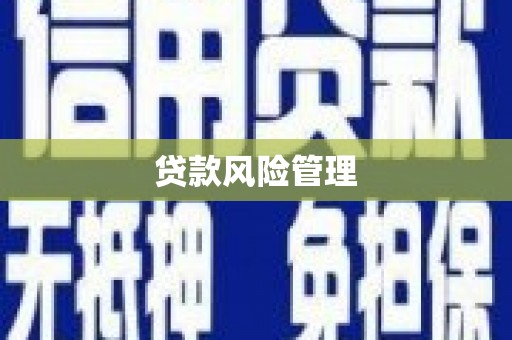 息县贷款风险管理