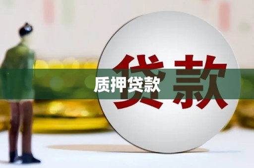 息县质押贷款