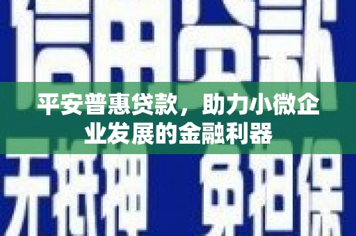 息县平安普惠贷款，助力小微企业发展的金融利器