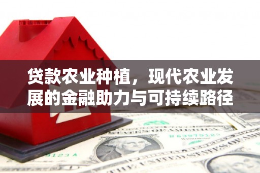 息县贷款农业种植，现代农业发展的金融助力与可持续路径