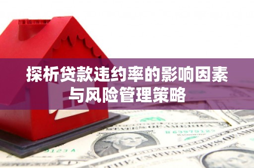 息县探析贷款违约率的影响因素与风险管理策略