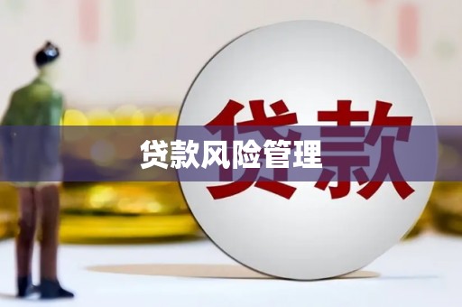 息县贷款风险管理