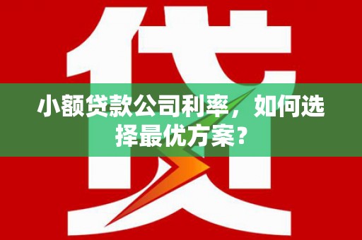 息县小额贷款公司利率，如何选择最优方案？