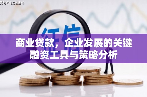 息县商业贷款，企业发展的关键融资工具与策略分析