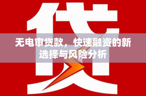 息县无电审贷款，快速融资的新选择与风险分析