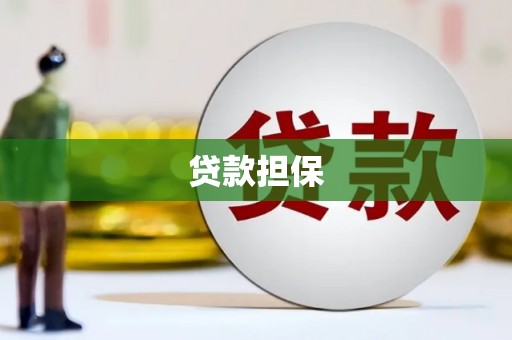 息县贷款担保