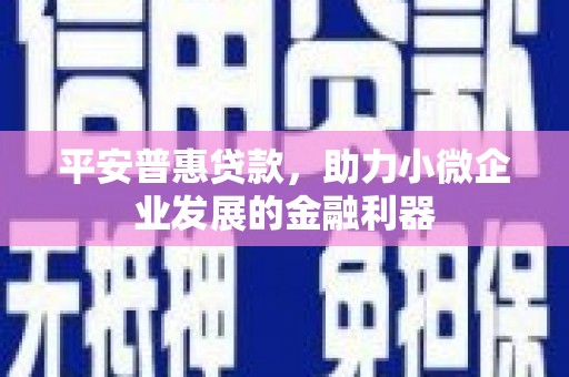 息县平安普惠贷款，助力小微企业发展的金融利器
