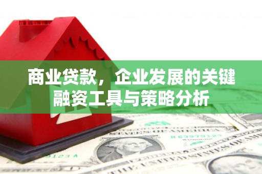 息县商业贷款，企业发展的关键融资工具与策略分析