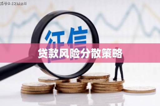 息县贷款风险分散策略