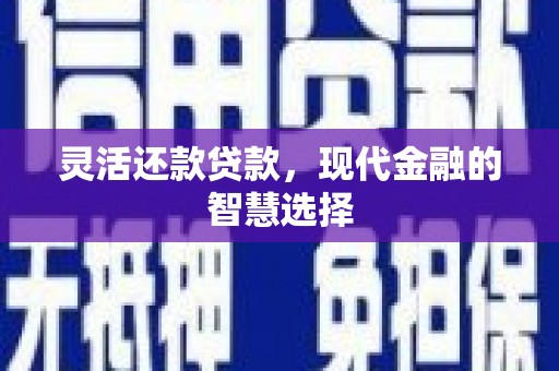 息县灵活还款贷款，现代金融的智慧选择