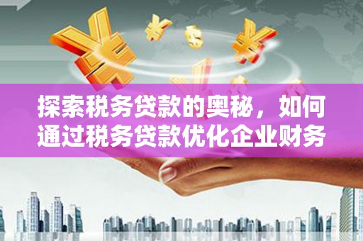 息县探索税务贷款的奥秘，如何通过税务贷款优化企业财务