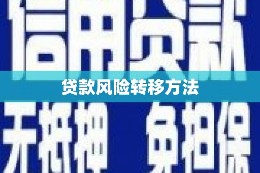 息县贷款风险转移方法