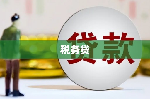 息县税务贷