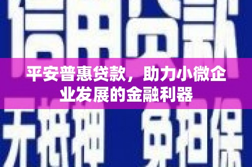 息县平安普惠贷款，助力小微企业发展的金融利器