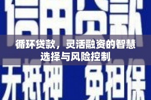 息县循环贷款，灵活融资的智慧选择与风险控制