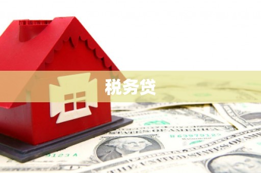 息县税务贷