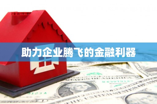 息县助力企业腾飞的金融利器