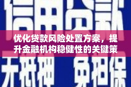 息县优化贷款风险处置方案，提升金融机构稳健性的关键策略