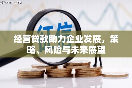 息县经营贷款助力企业发展，策略、风险与未来展望