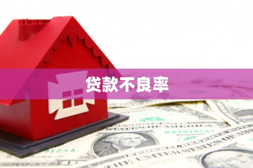 息县贷款不良率