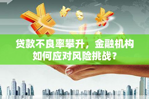 息县贷款不良率攀升，金融机构如何应对风险挑战？
