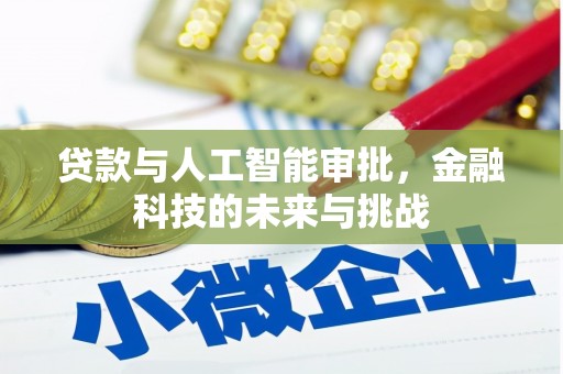息县贷款与人工智能审批，金融科技的未来与挑战