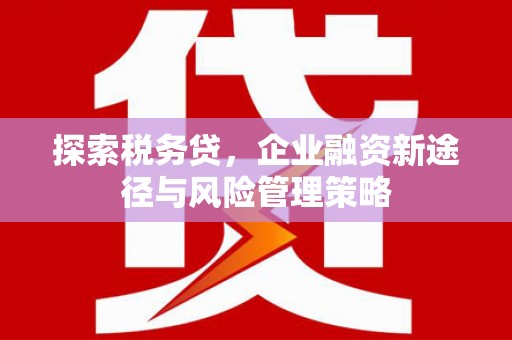 息县探索税务贷，企业融资新途径与风险管理策略
